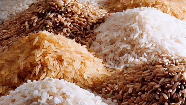 الرز